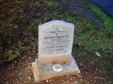 image of grave number 335983